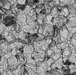 corrosion steel japanese knives