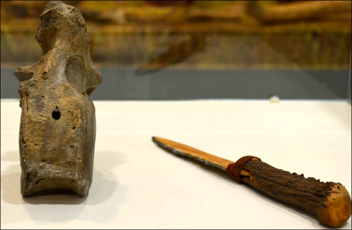 knochengriffe küchenmesser prozessoren