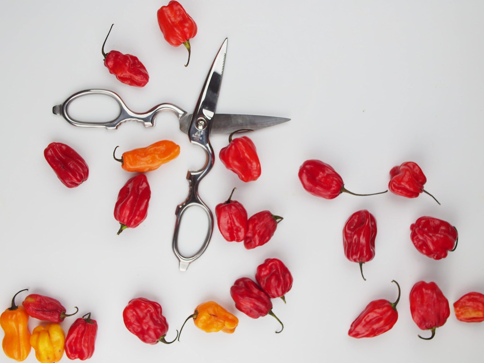 japanese scissors shears homeware kitchen accessories dinnerware tableware kitchen tools, kitchen premium wooden tools