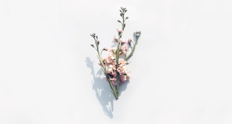 flower arrangement ikebana japanese art