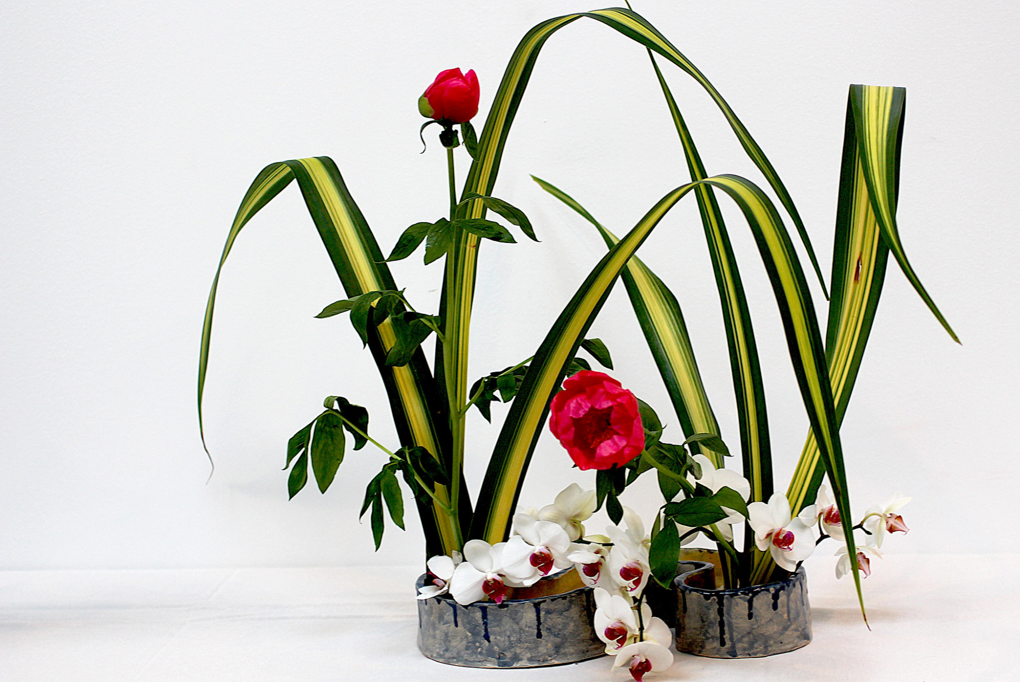 ikebana manuel m. v.