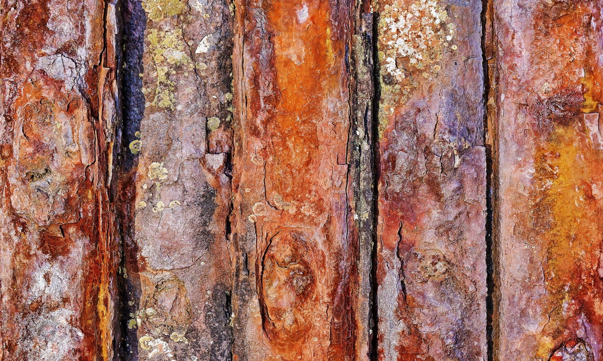 rust wabi sabi concept japanese