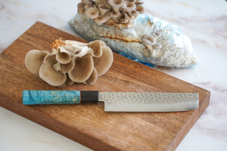 medicinal mushrooms growing japanese knife nakiri