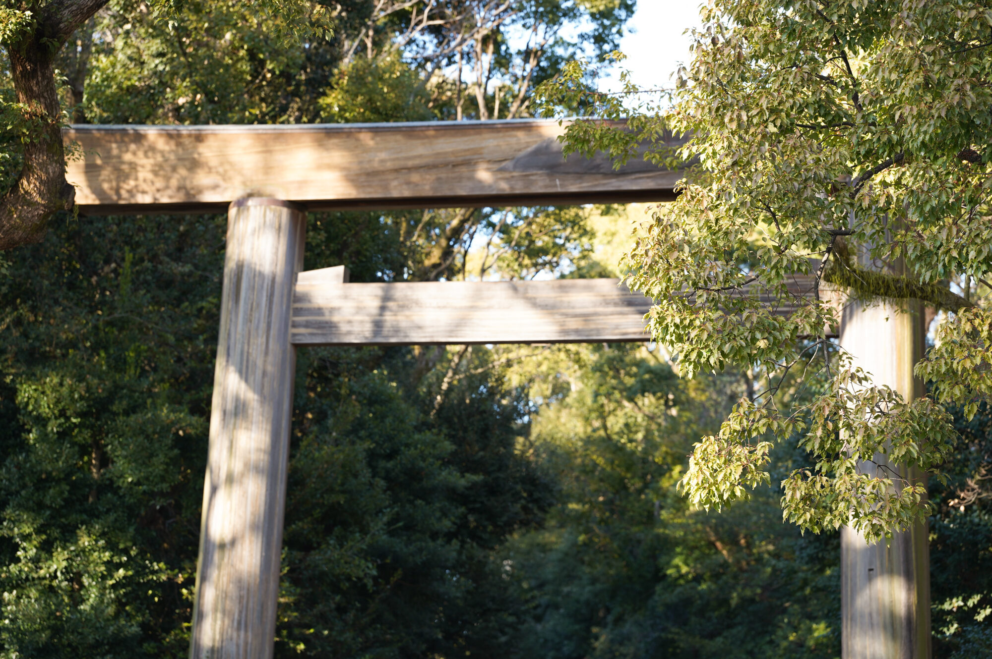 japanese shrine japan temples guide