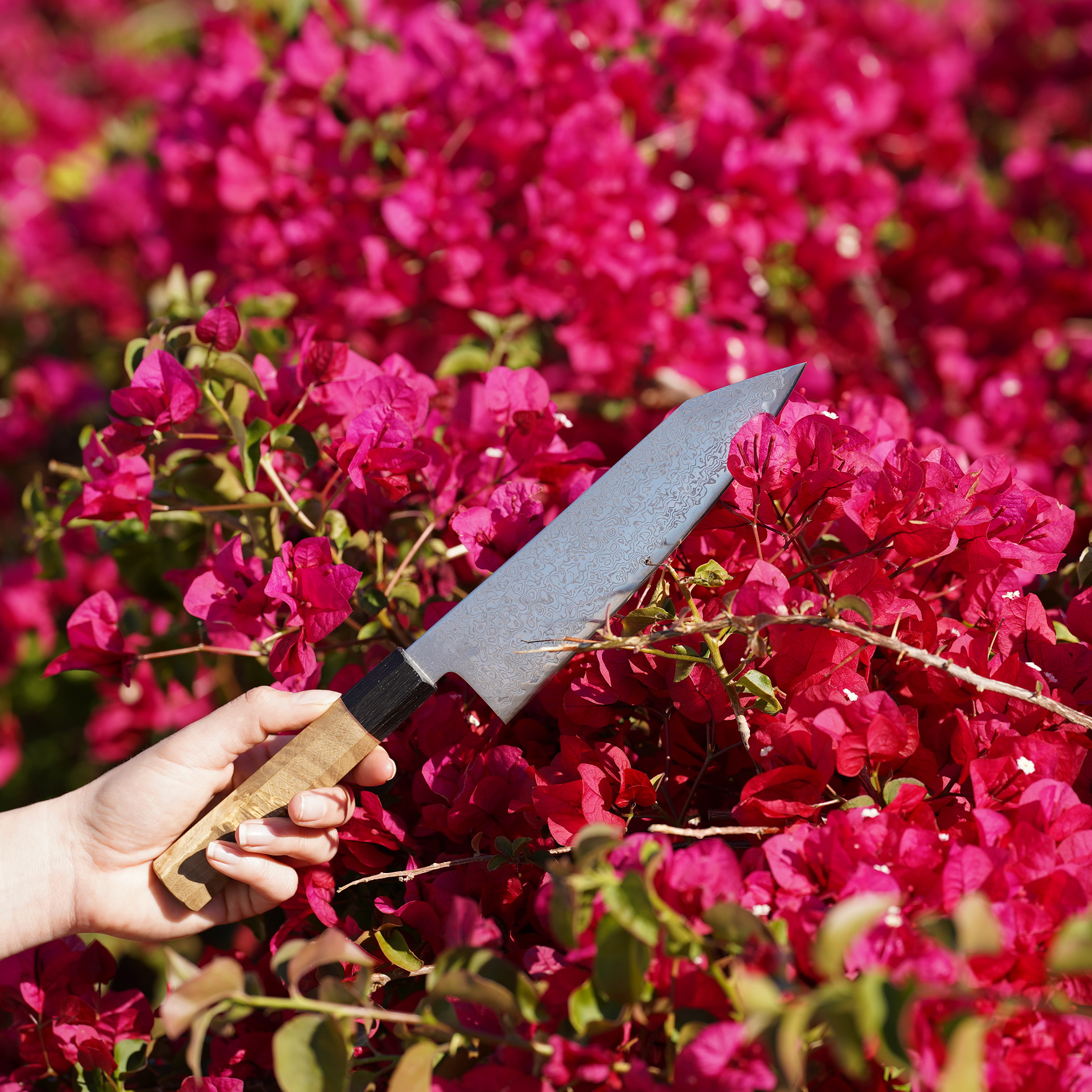 seki kyuba sg2 r2 powder steel damascus 31 oishya japanese kitchen knife premium high carbon high end-2