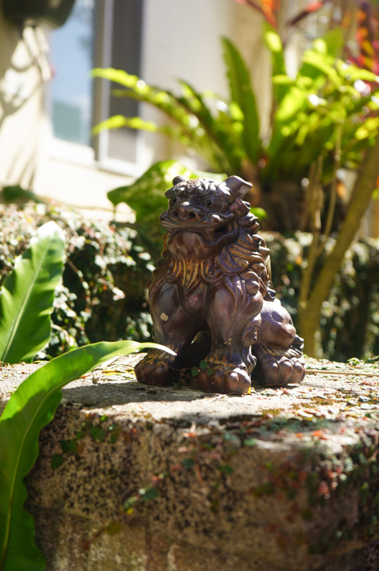 japan nature food oishya-179