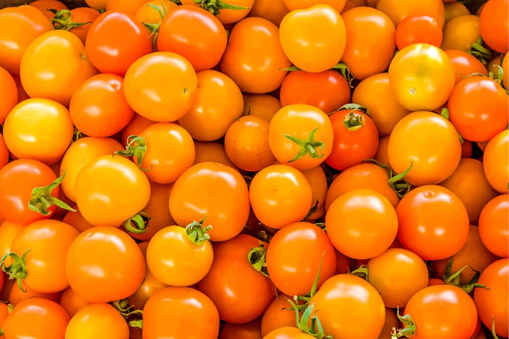 Orange Cherry Tomatoes - Foods That Are Orange