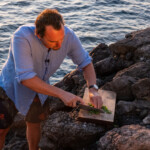 kitchen walnut board medium by oishya