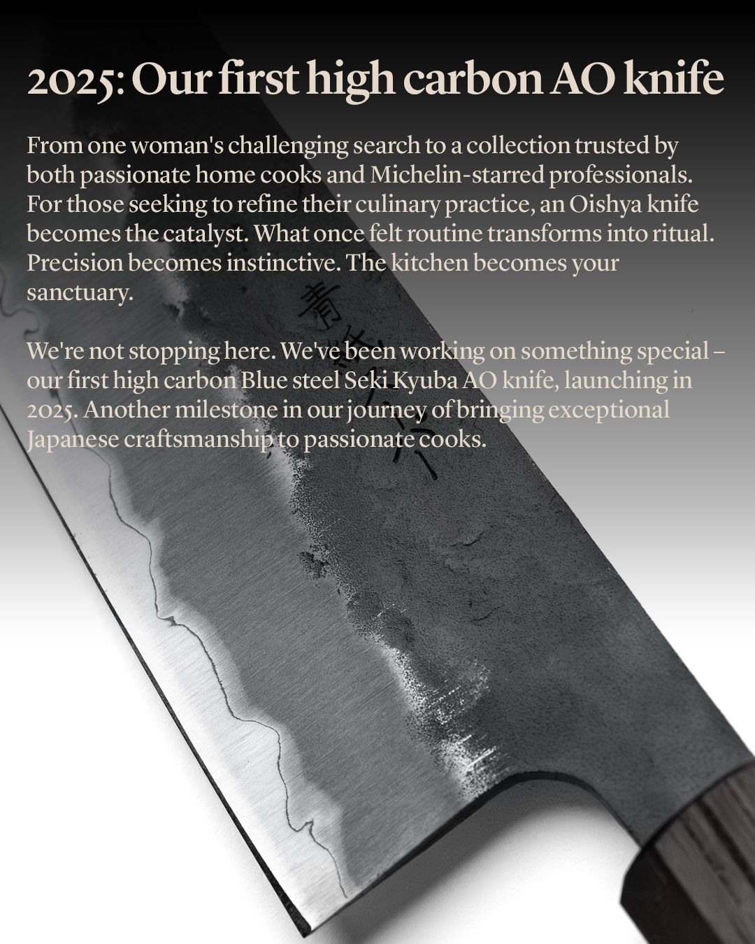 oishya story how did it start