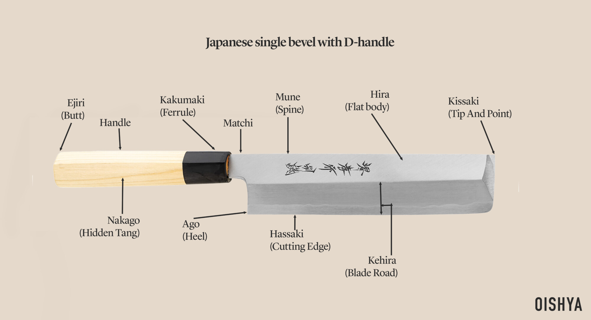 japanese_single_bevel_d_handle